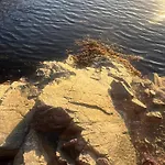 Апартаменты Paradise With A Sea View