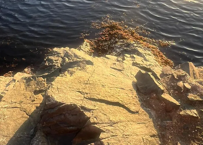 Апартамент Paradise With A Sea View