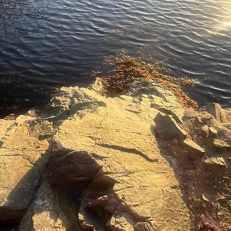 Apartment Paradise With A Sea View